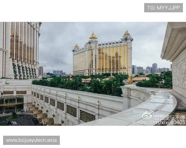 澳门银河娱乐集团有限公司官方入口推荐,提供最新网址信息,保障玩家安全与权益 澳门银河娱乐集团有限公司官方入口推荐,提供最新网址信息,保障玩家安全与权益